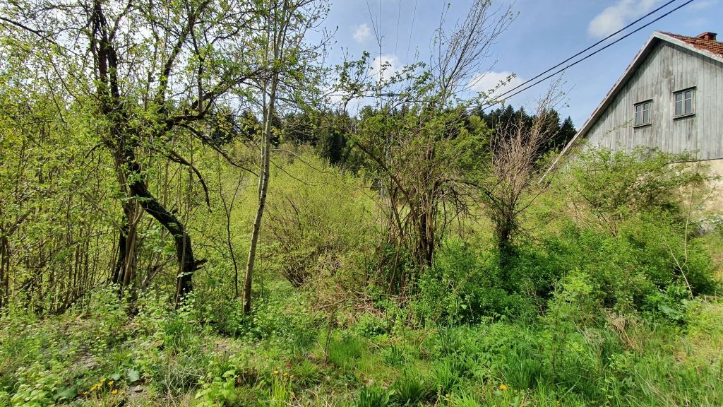 GORNJA DOBRA