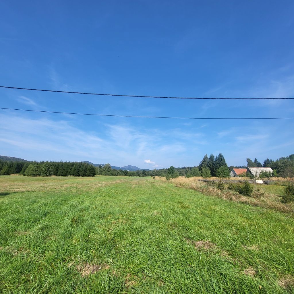 LIČ