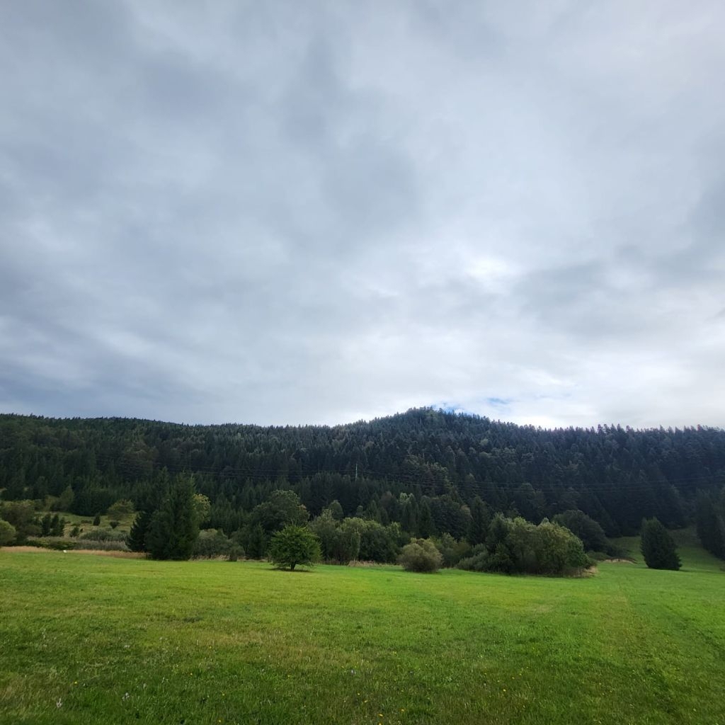 Pozemek Ravna Gora – 3