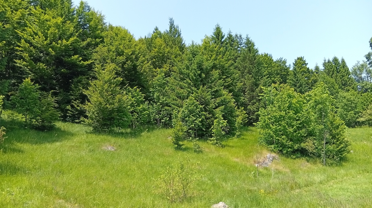 Terreno RAVNA GORA, 70.000 €