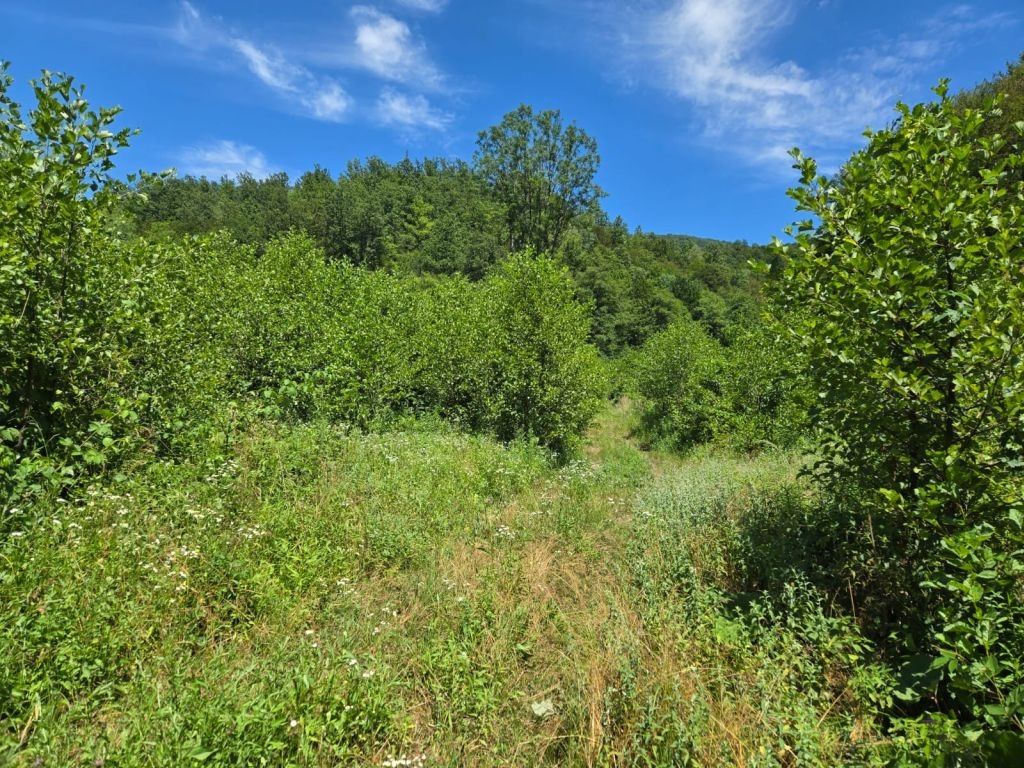 VRBOVSKO