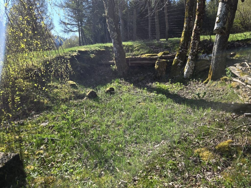 image 13
