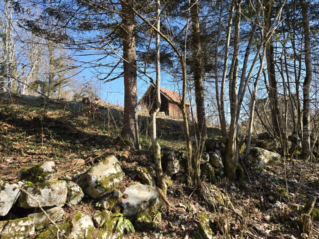 Дом BROD MORAVICE, 65.000 €