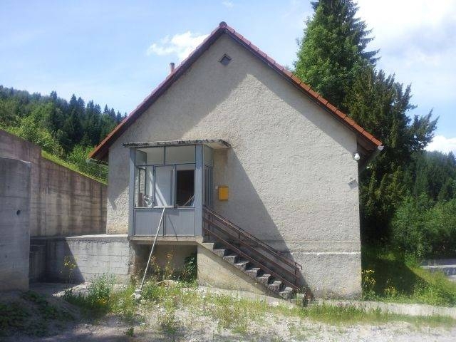 RAVNA GORA