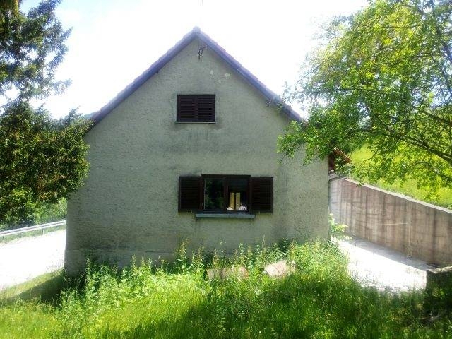 RAVNA GORA