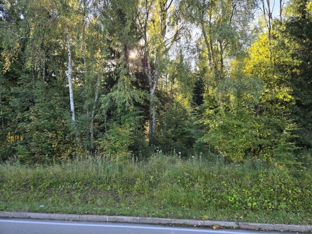 Участок RAVNA GORA, 75.000 €