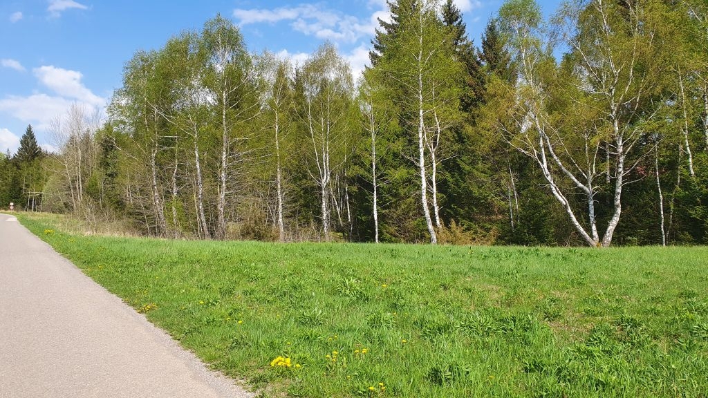Zemljišče Ravna Gora – 2