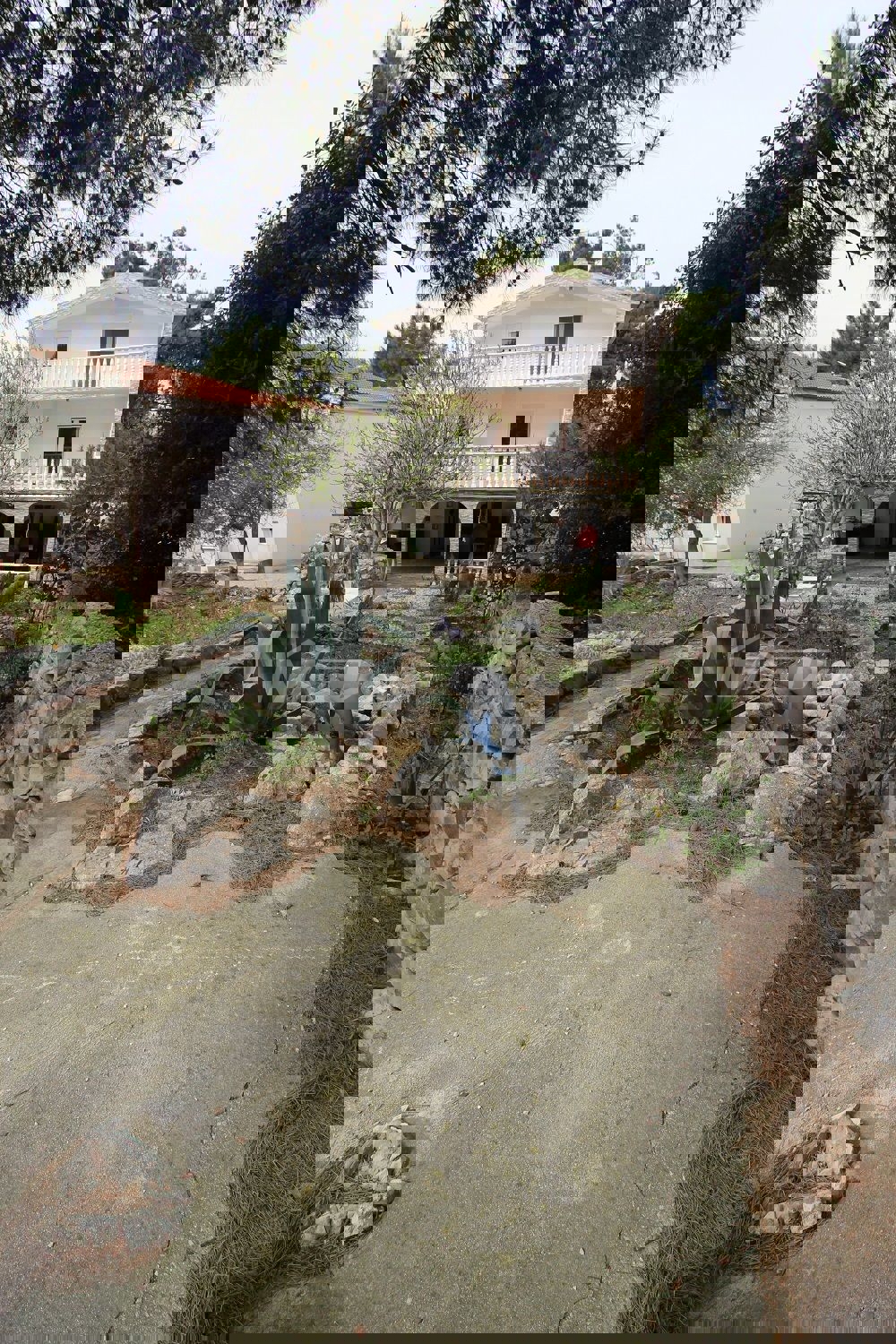 VIR