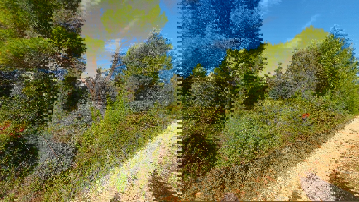 VIR