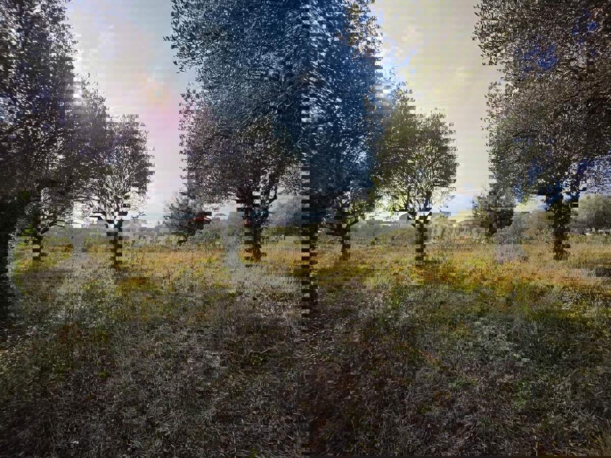 Terreno ZADAR, 420.000 €