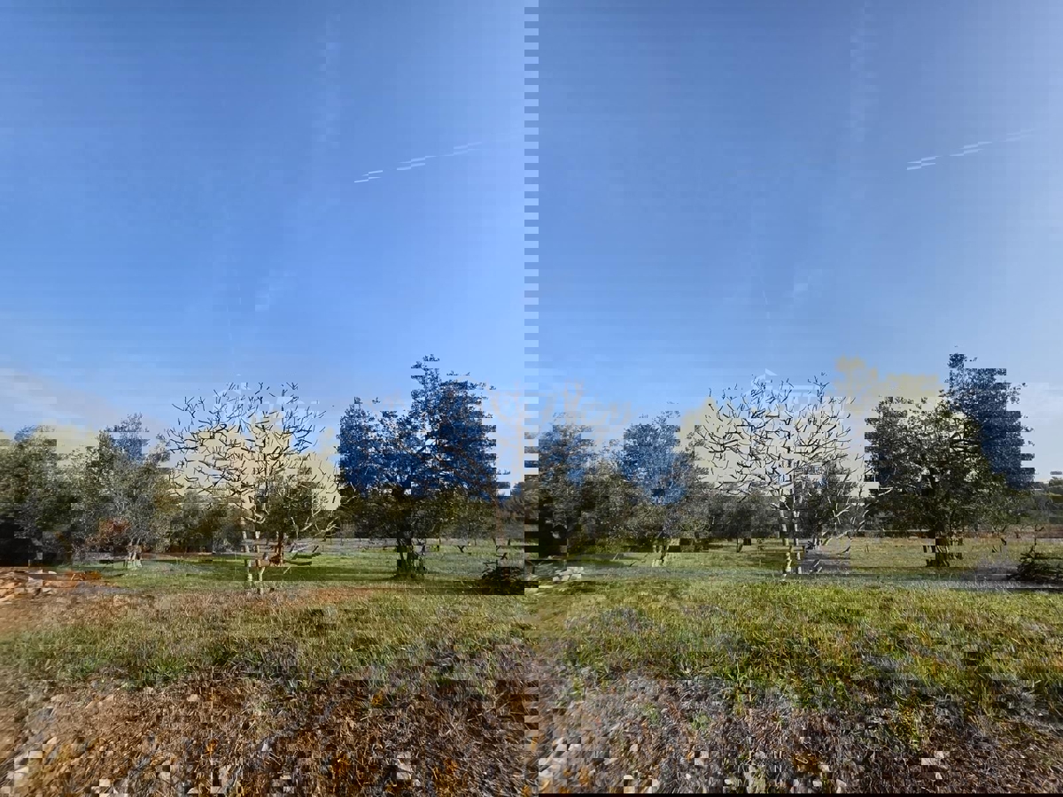 Terreno ZADAR, 94.550 €