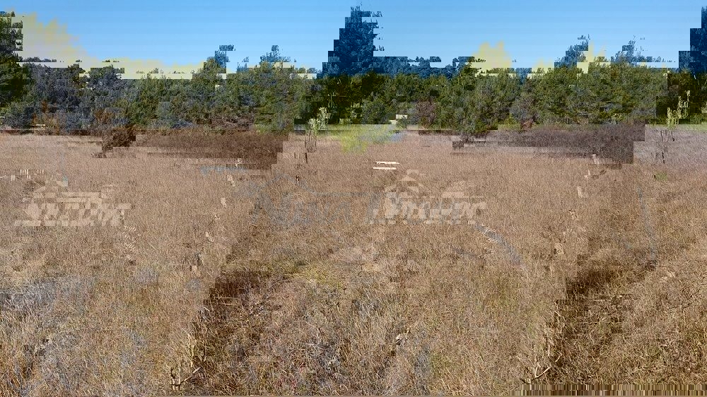 Terreno VIR, 45.000 €