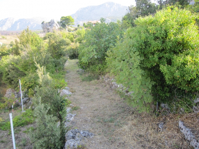 PODGORA