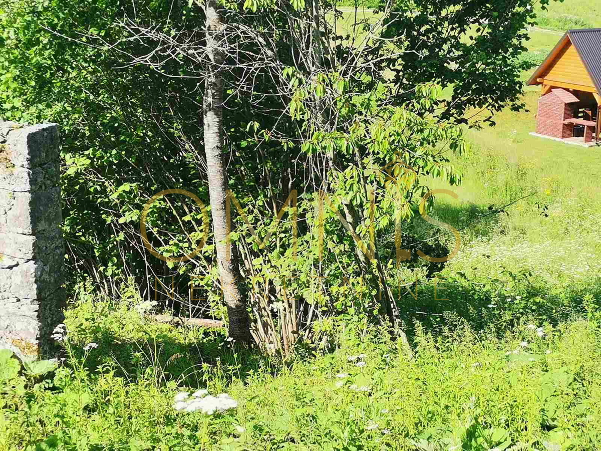 MRKOPALJ