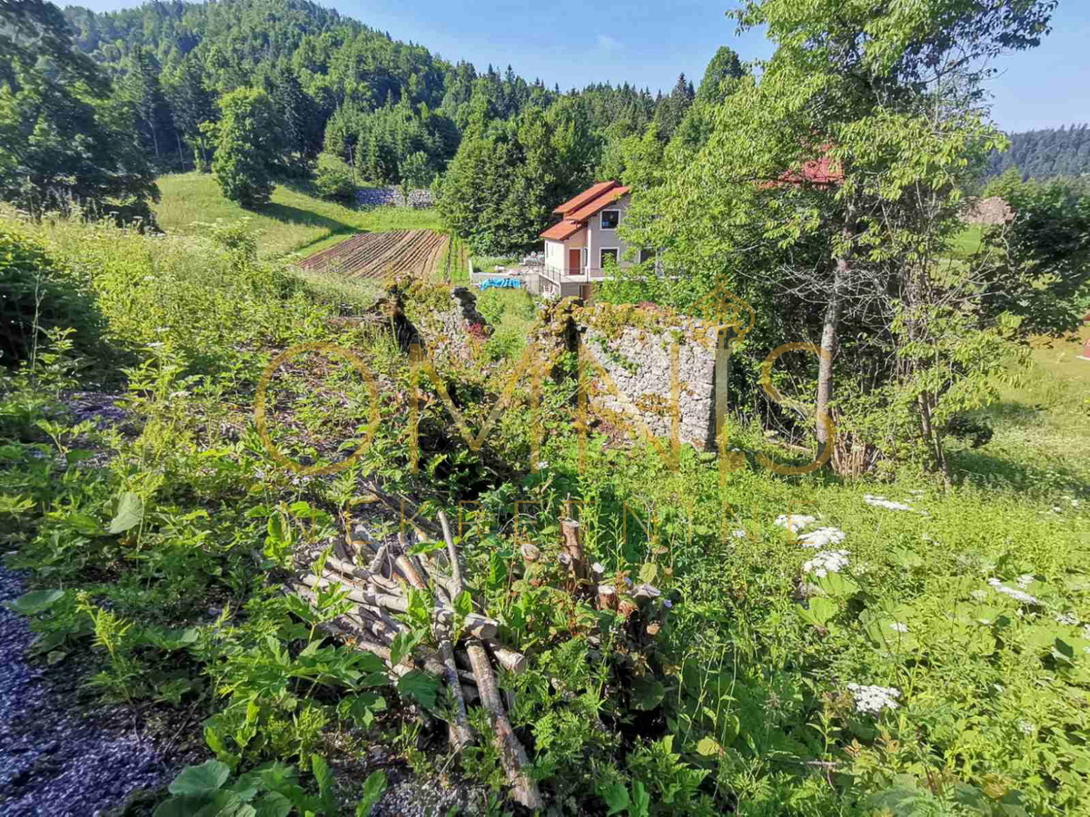 MRKOPALJ