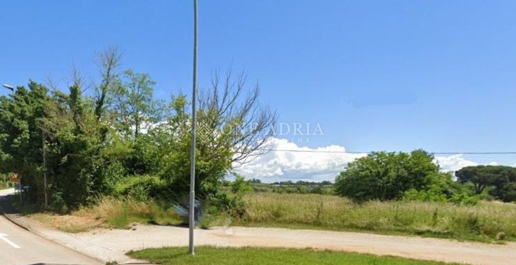 SAVUDRIJA