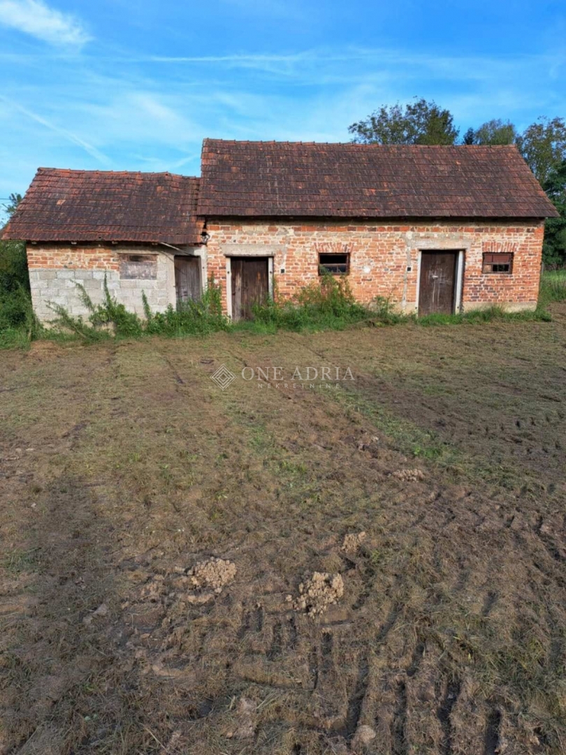 SVETI MARTIN NA MURI