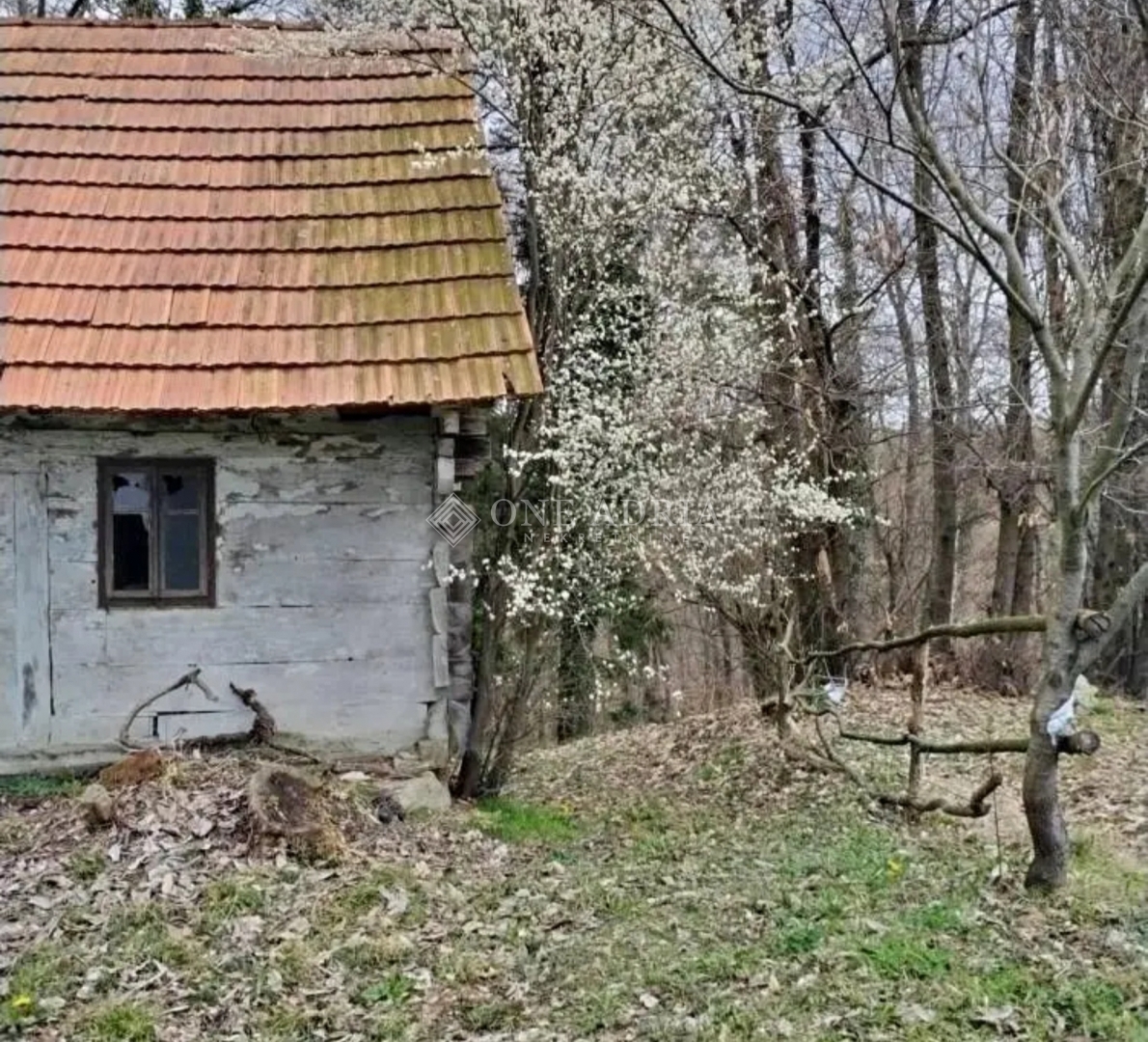 MALUNJE