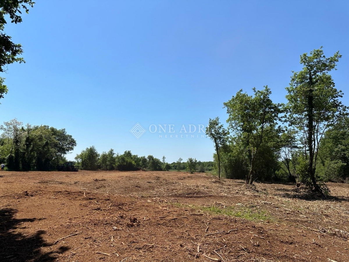 Terreno LIŽNJAN, 76.000 €