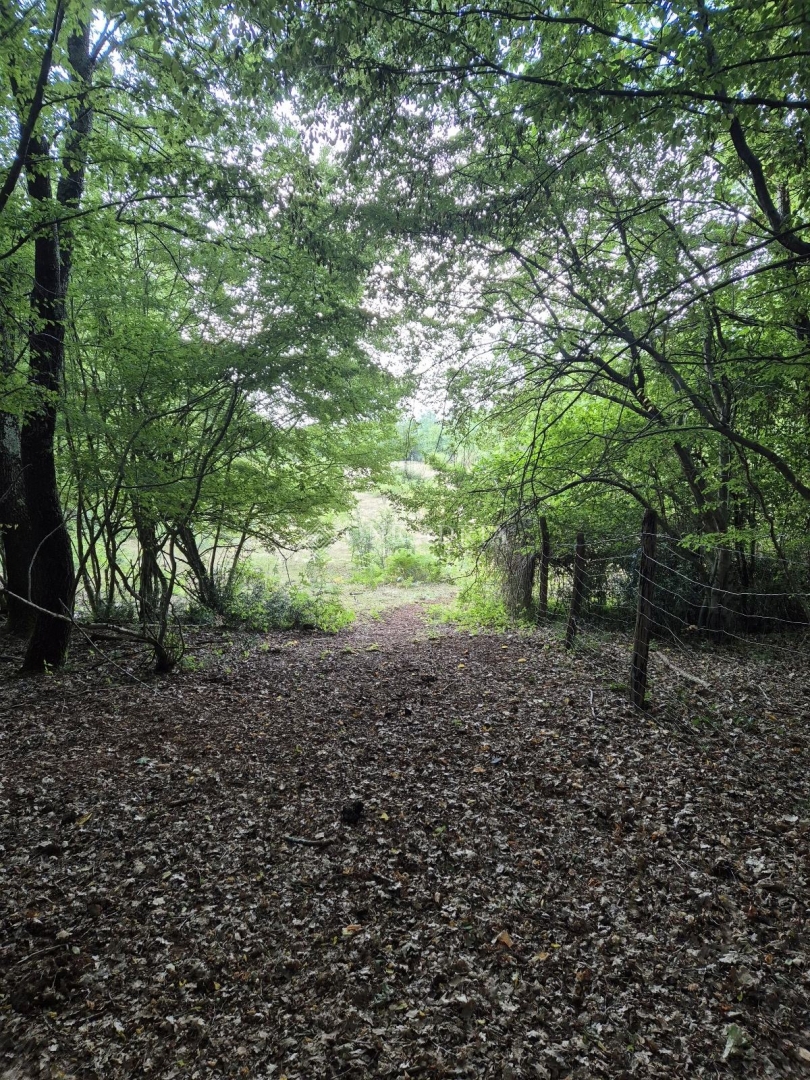 Terreno KAŠTELIR - LABINCI, 165.000 €