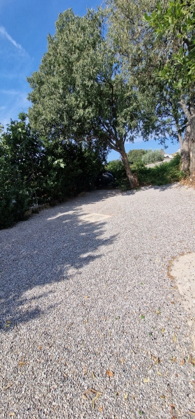 image 33