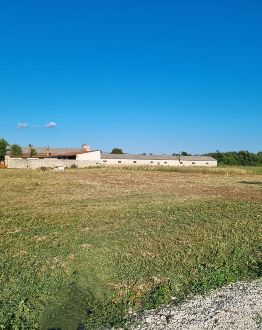 Terreno ŽMINJ, 76.000 €