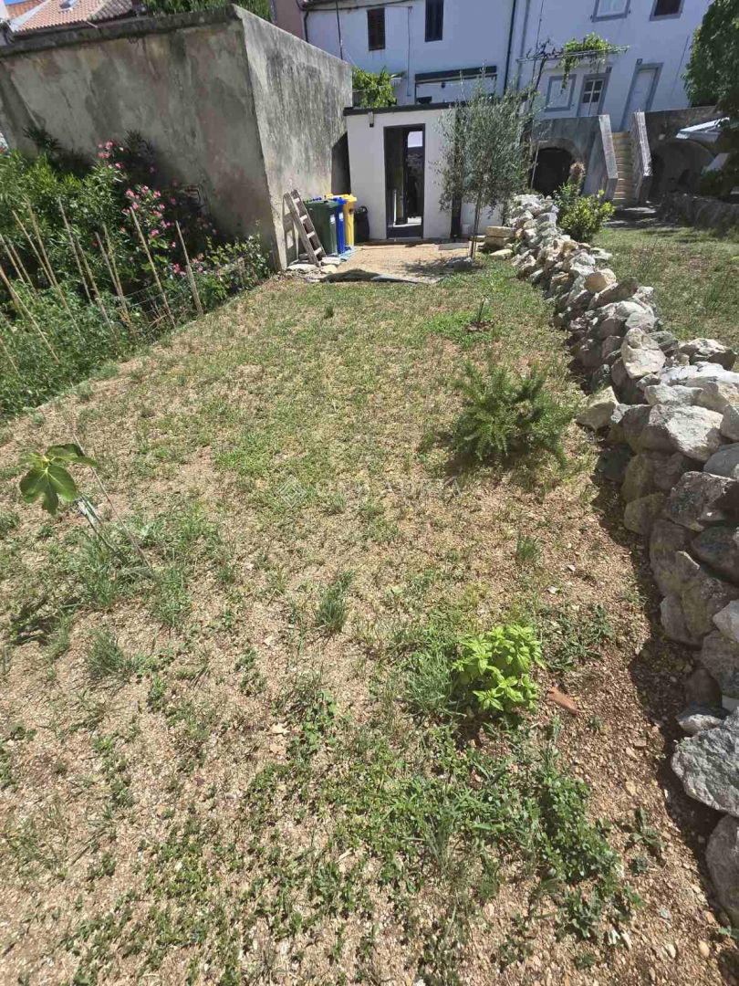 PUNAT