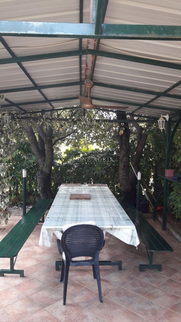 PINEZIĆI