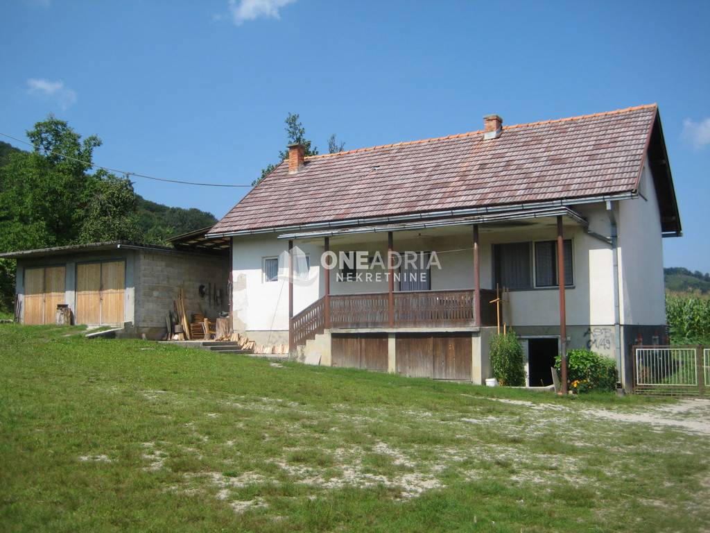 ŽIVKOVIĆ KOSA