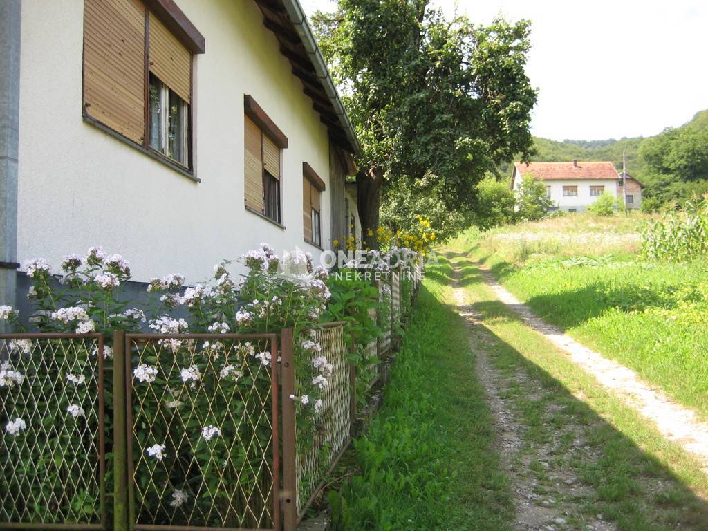 ŽIVKOVIĆ KOSA