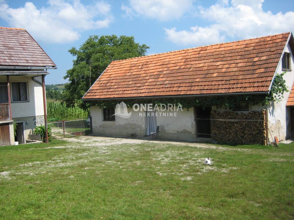 ŽIVKOVIĆ KOSA