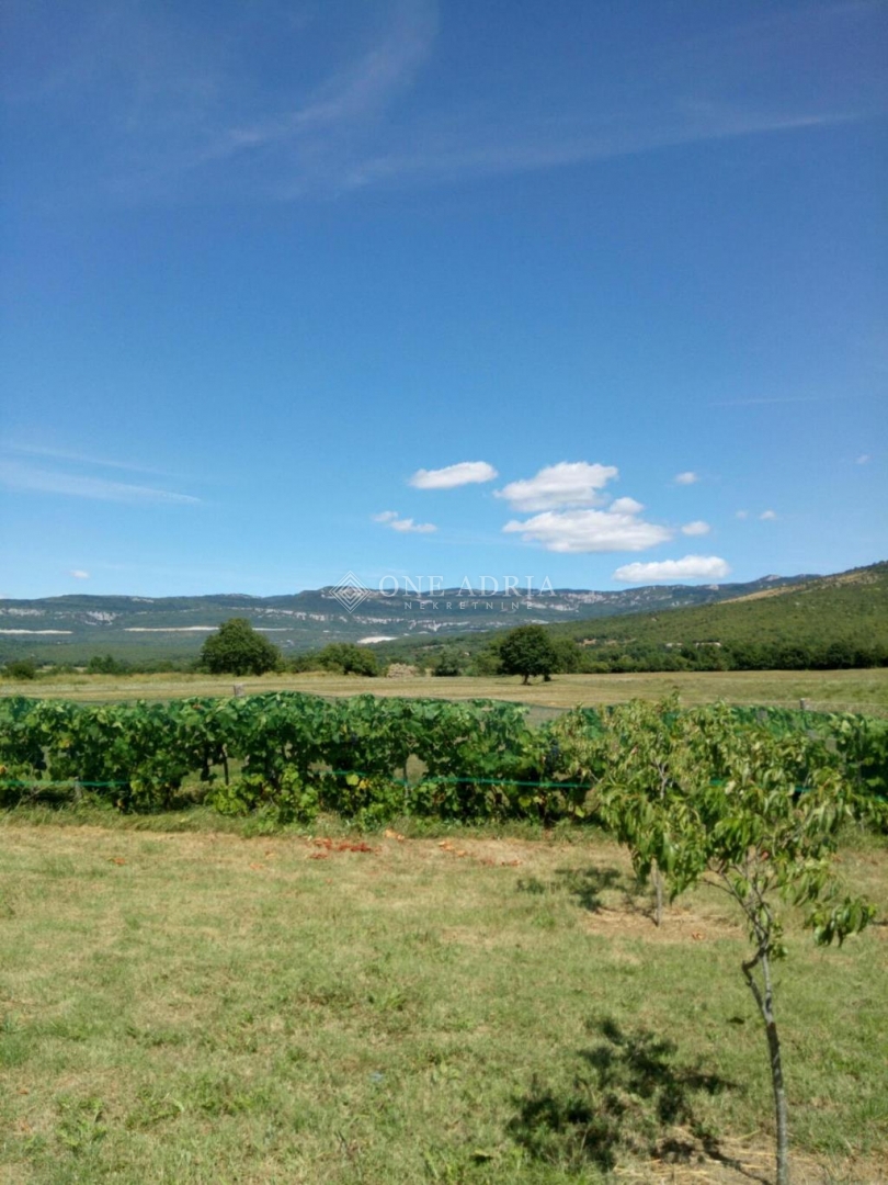 BOLJUNSKO POLJE