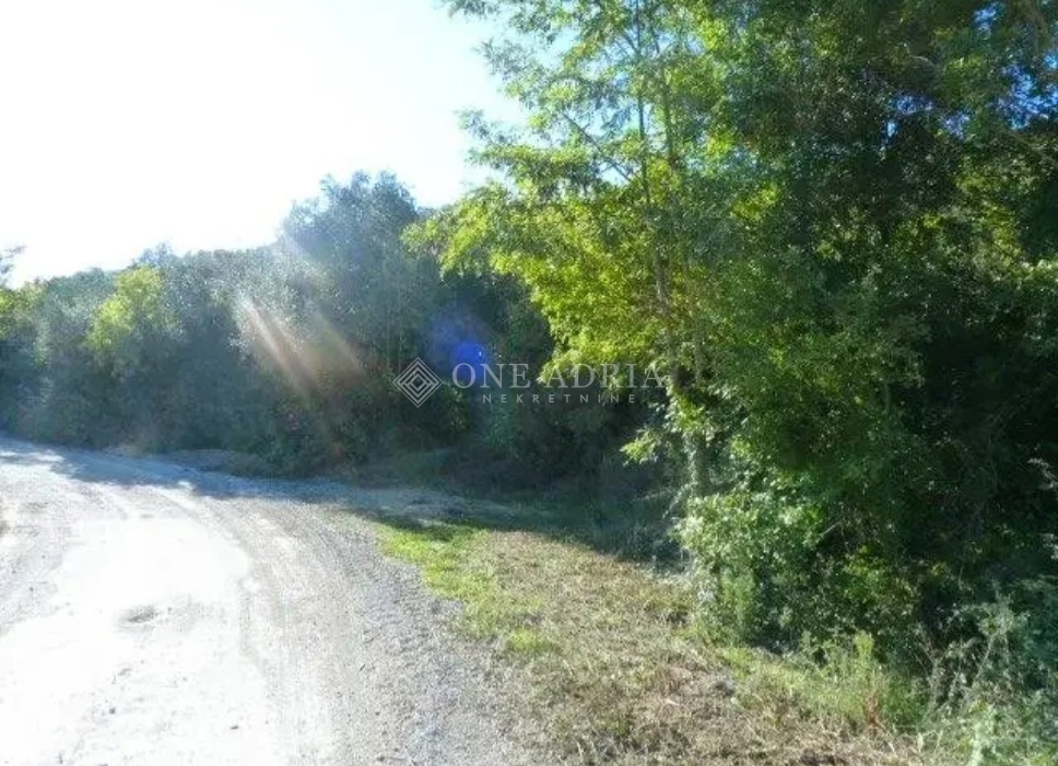 LIŽNJAN