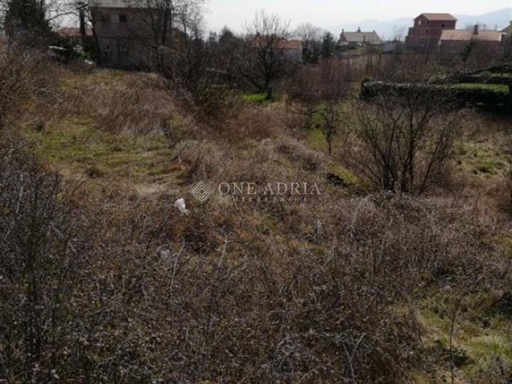 MARČELJI