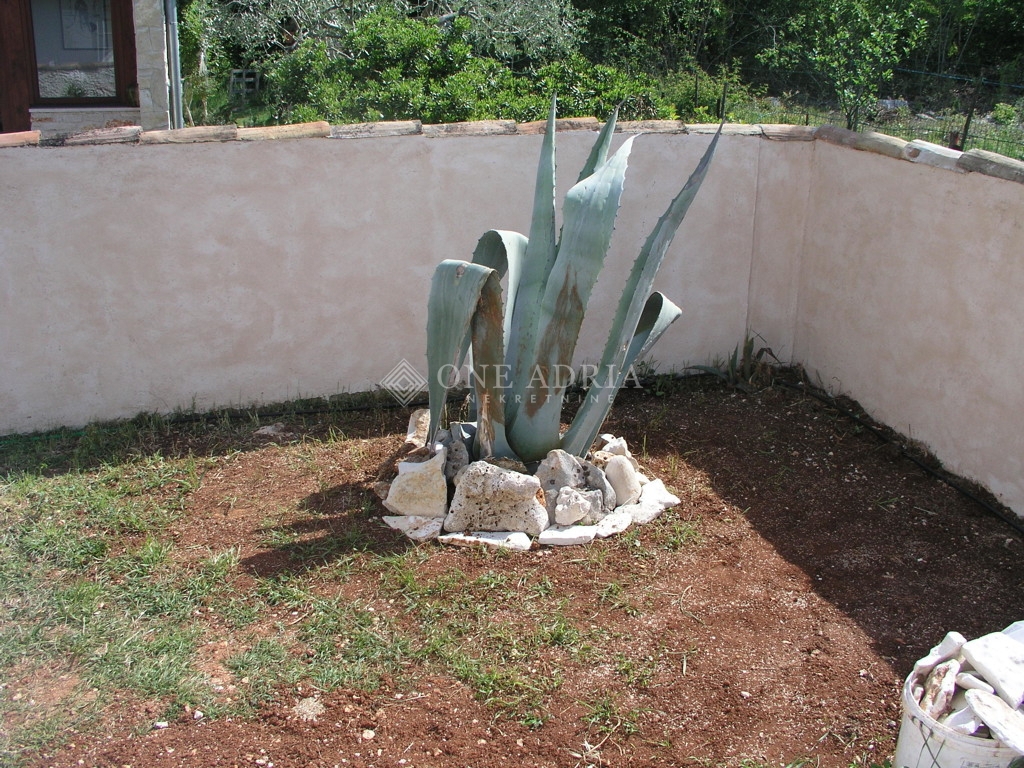 BUIĆI
