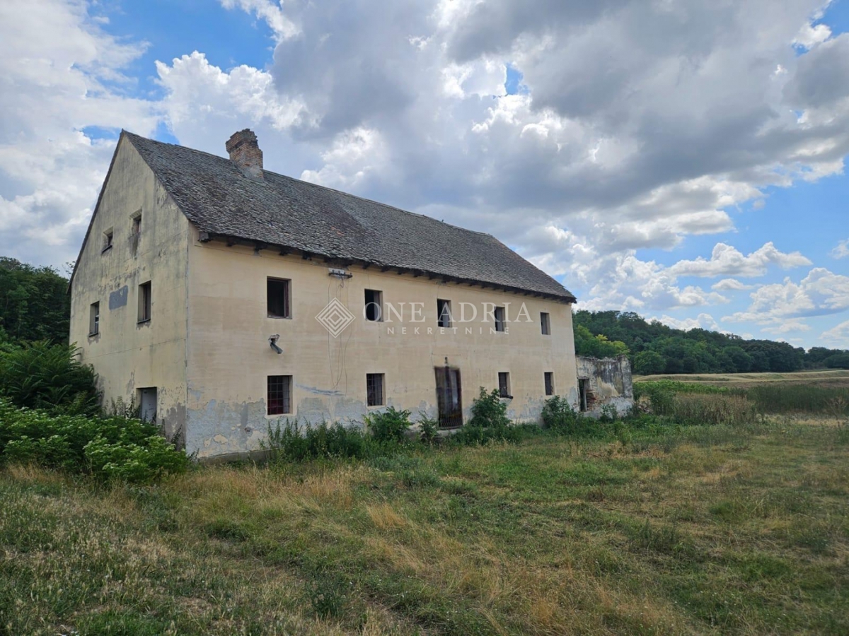 BRANJINA