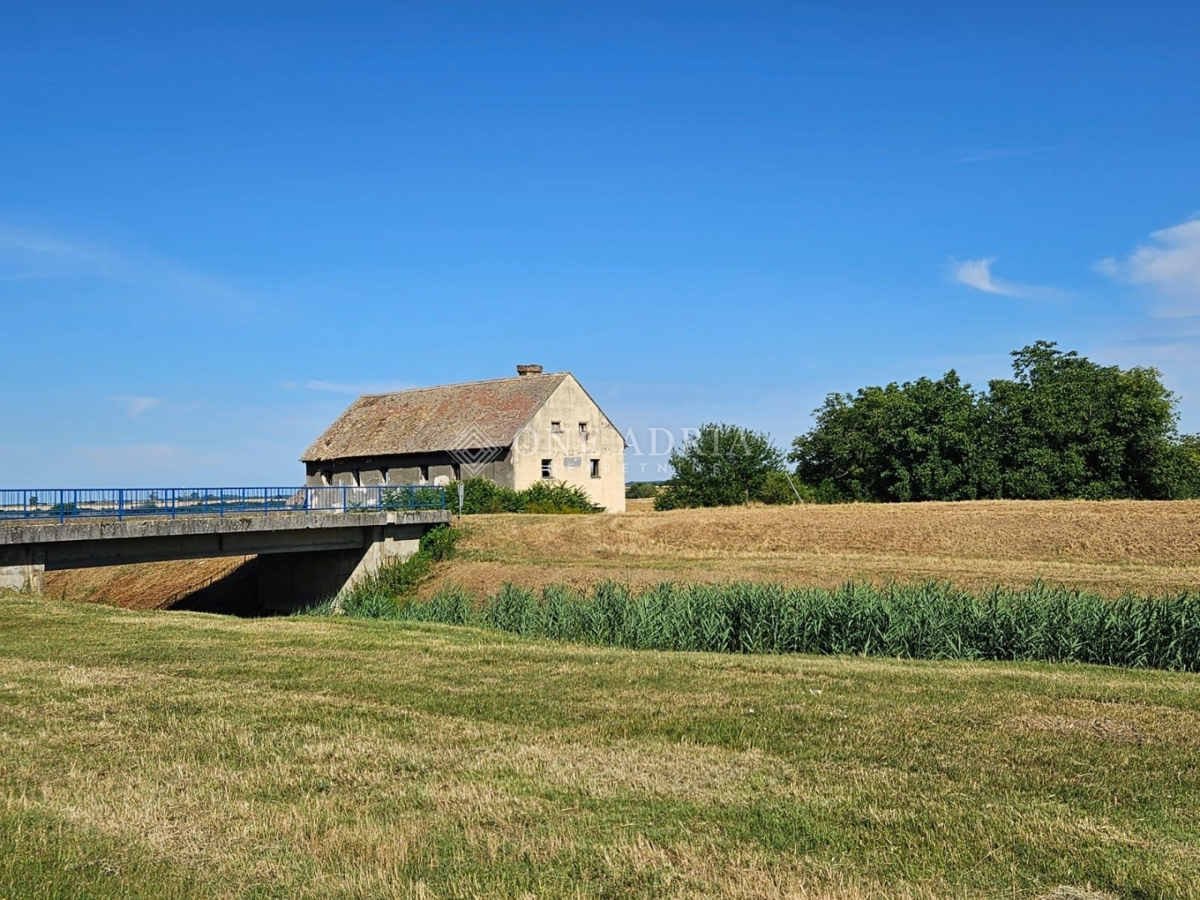 BRANJINA