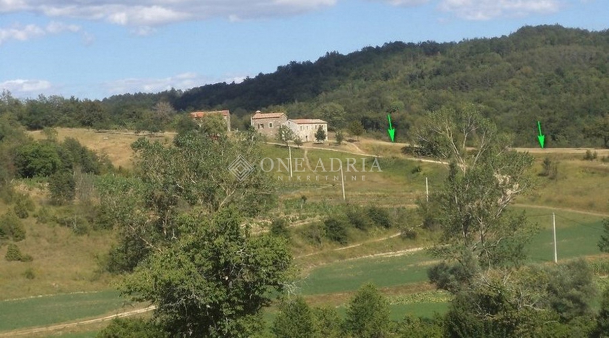 MOTOVUN