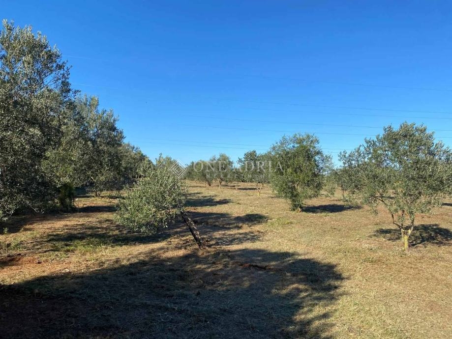 Участок PULA, 247.000 €