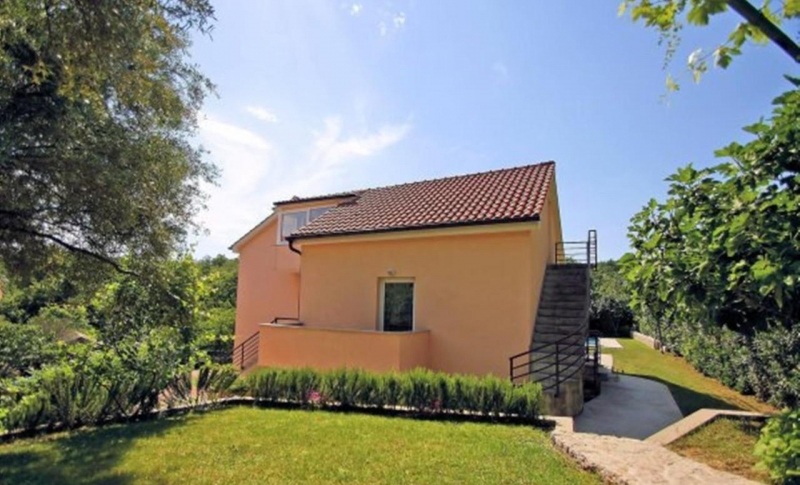ČIŽIĆI