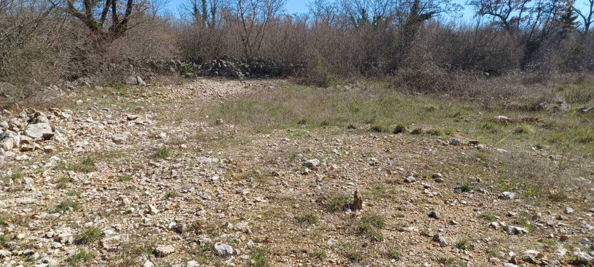 KREMENIĆI