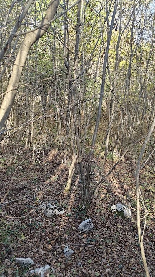 Terreno RIJEKA, 45.000 €