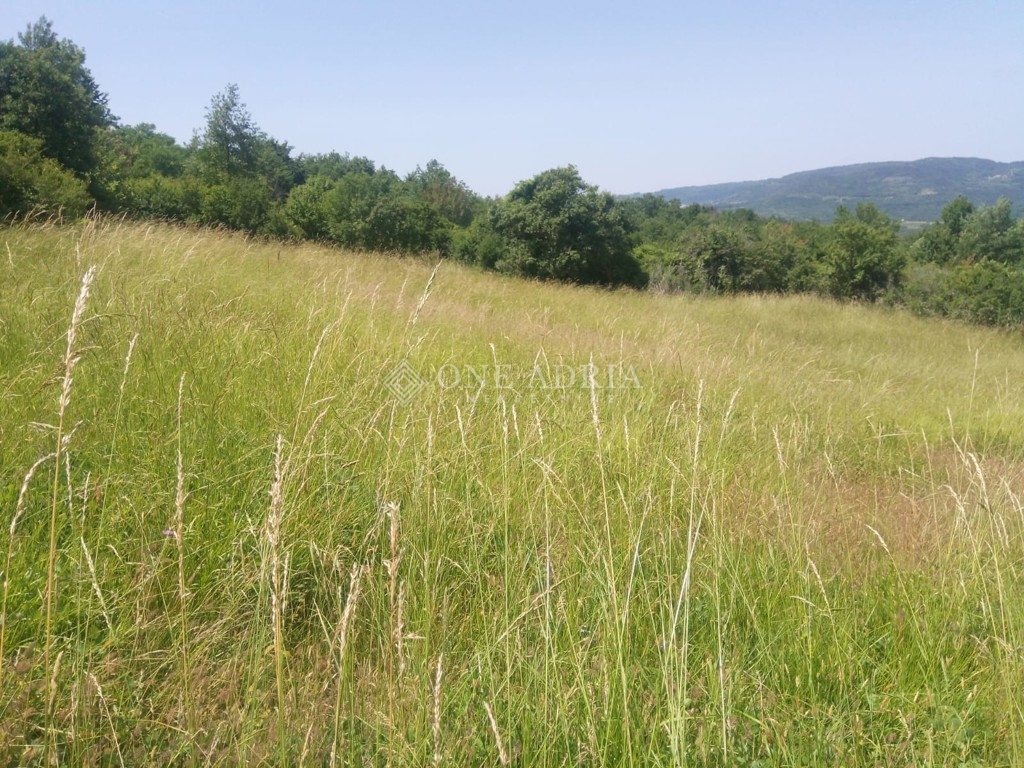 Terreno MOTOVUN, 50.000 €