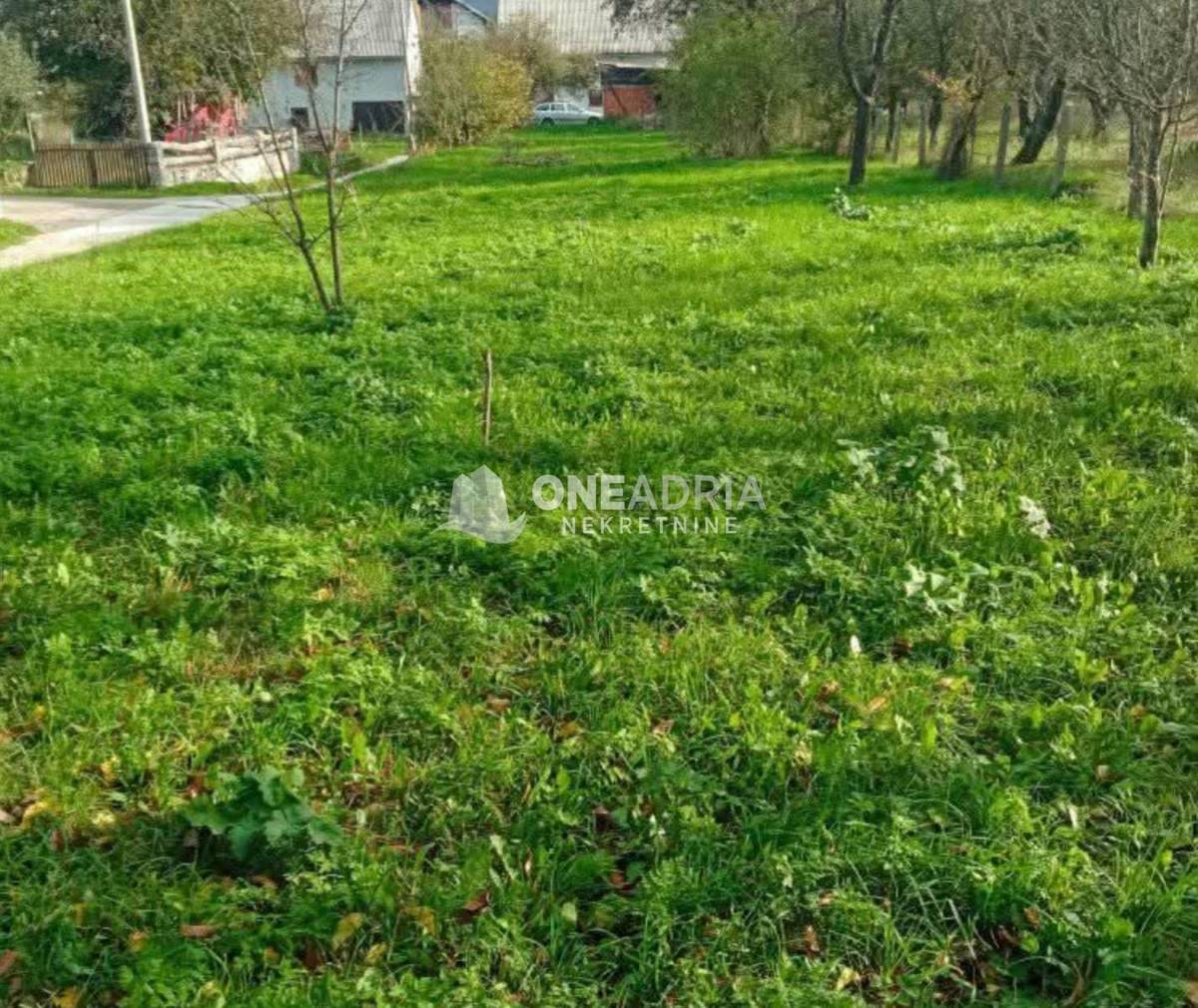 KORENICA