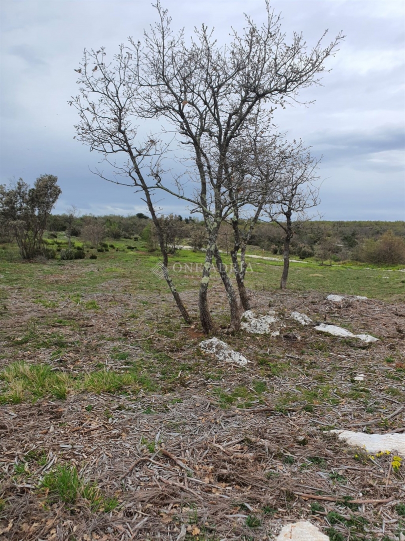 Terreno MARČANA, 36.000 €