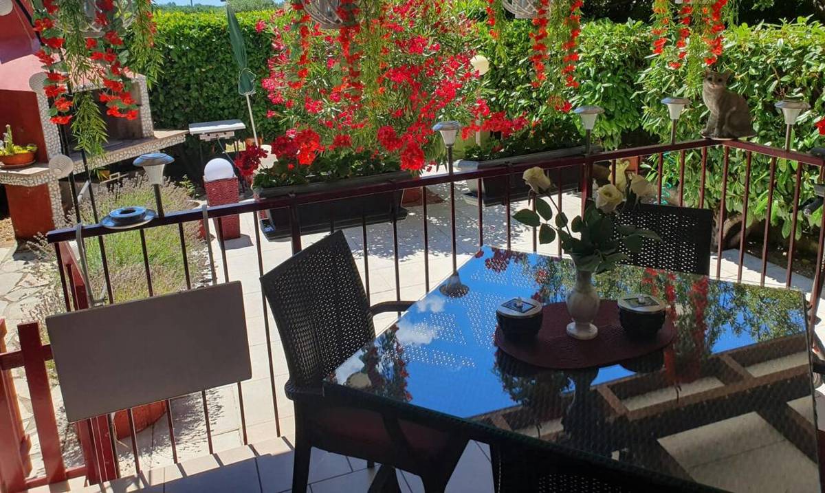 Uređen Apartman Sa Okućnicom!!