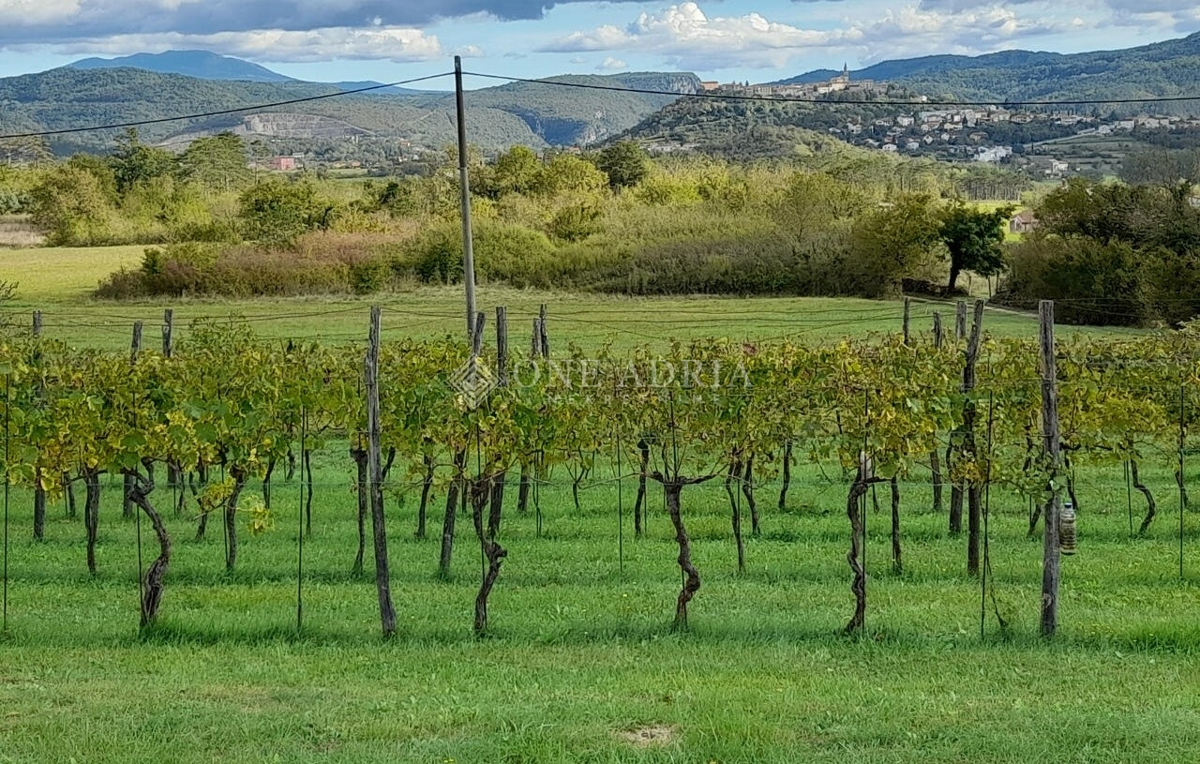 Terreno BUZET, 115.000 €