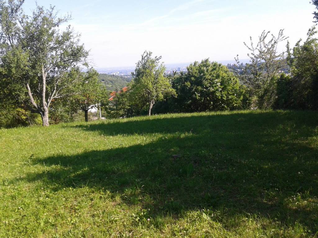 ŠESTINE