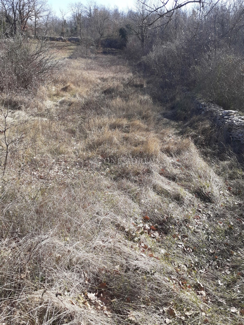 VODNJAN