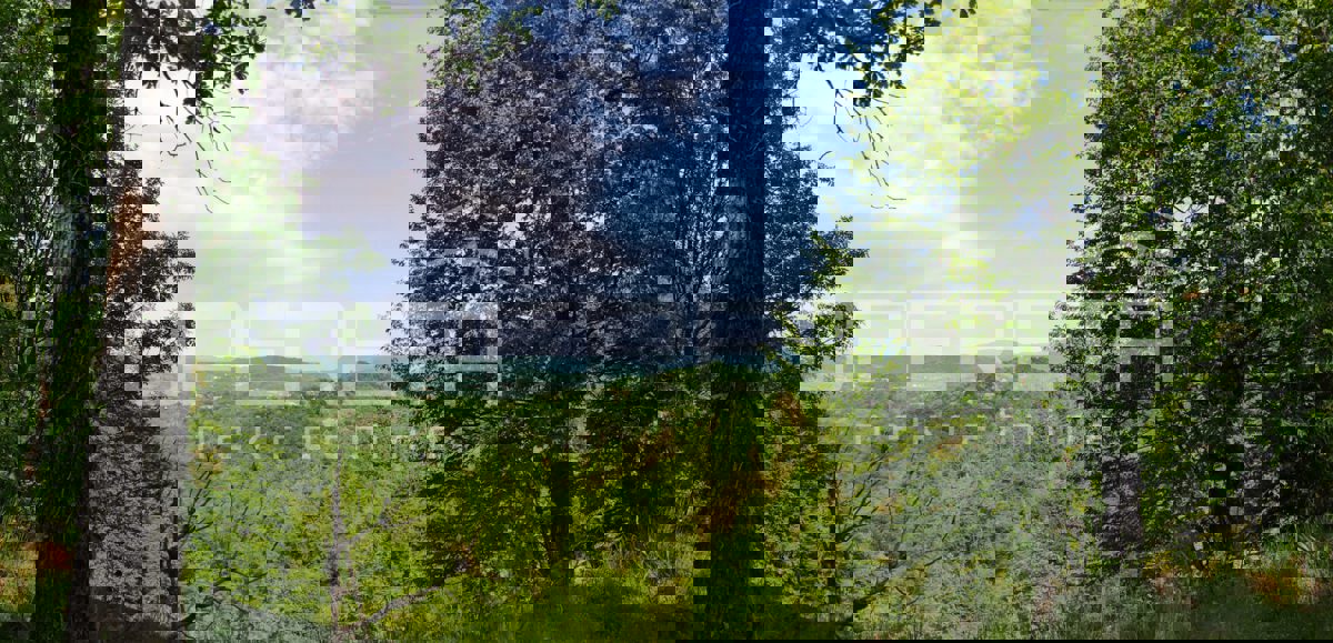 Terreno SAMOBOR, 60.000 €